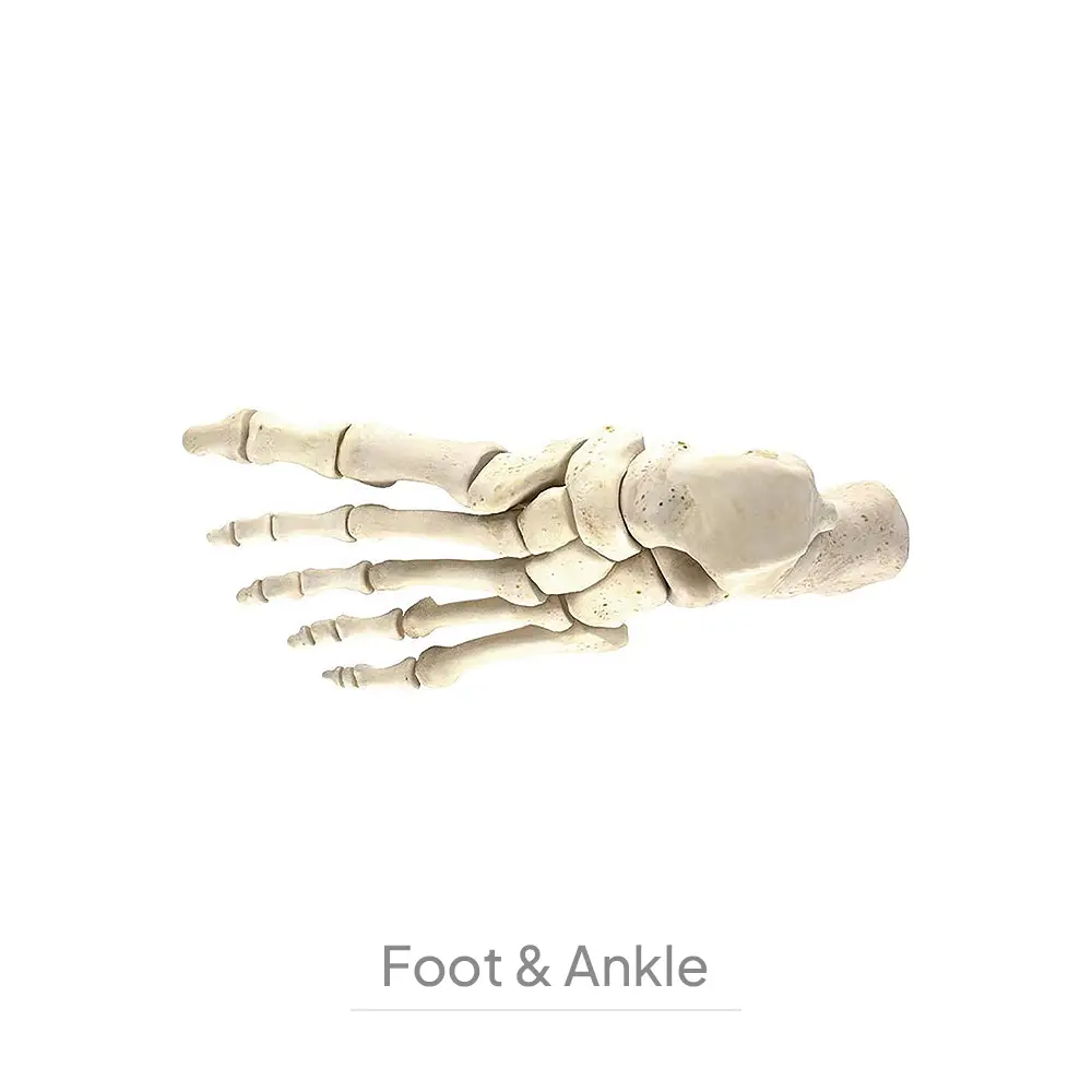 Foot & Ankle