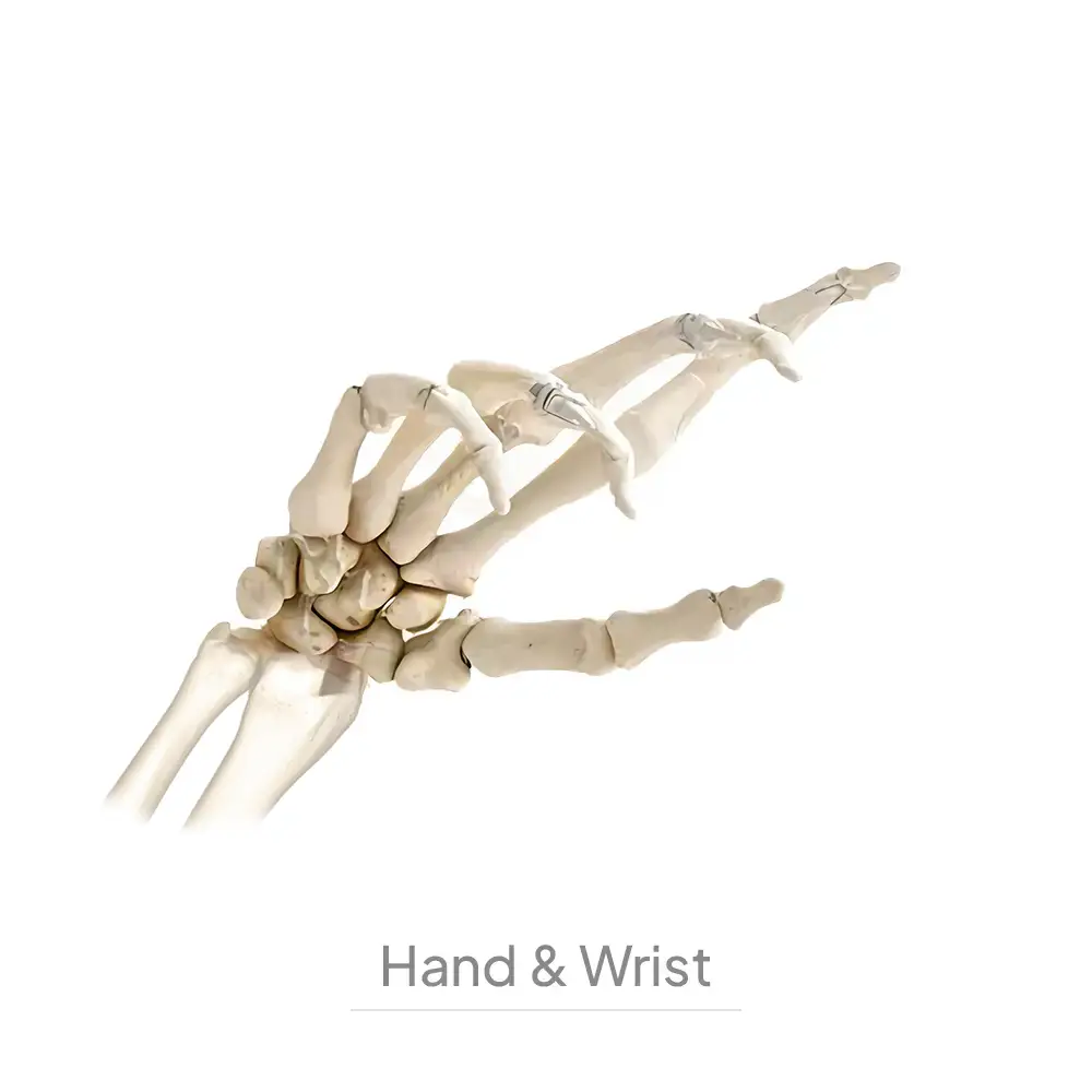 HandWrist-002